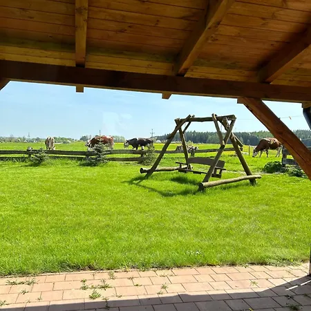 Bajka Дом отдыха Выдмины