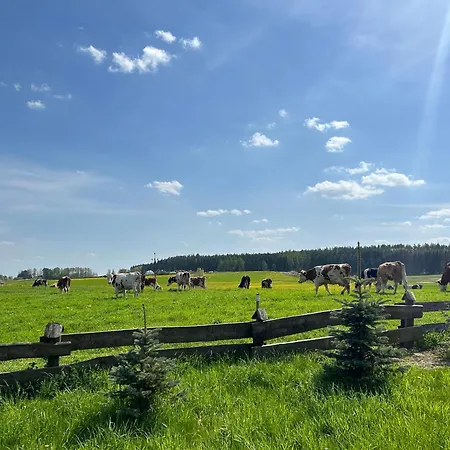 Bajka * Выдмины